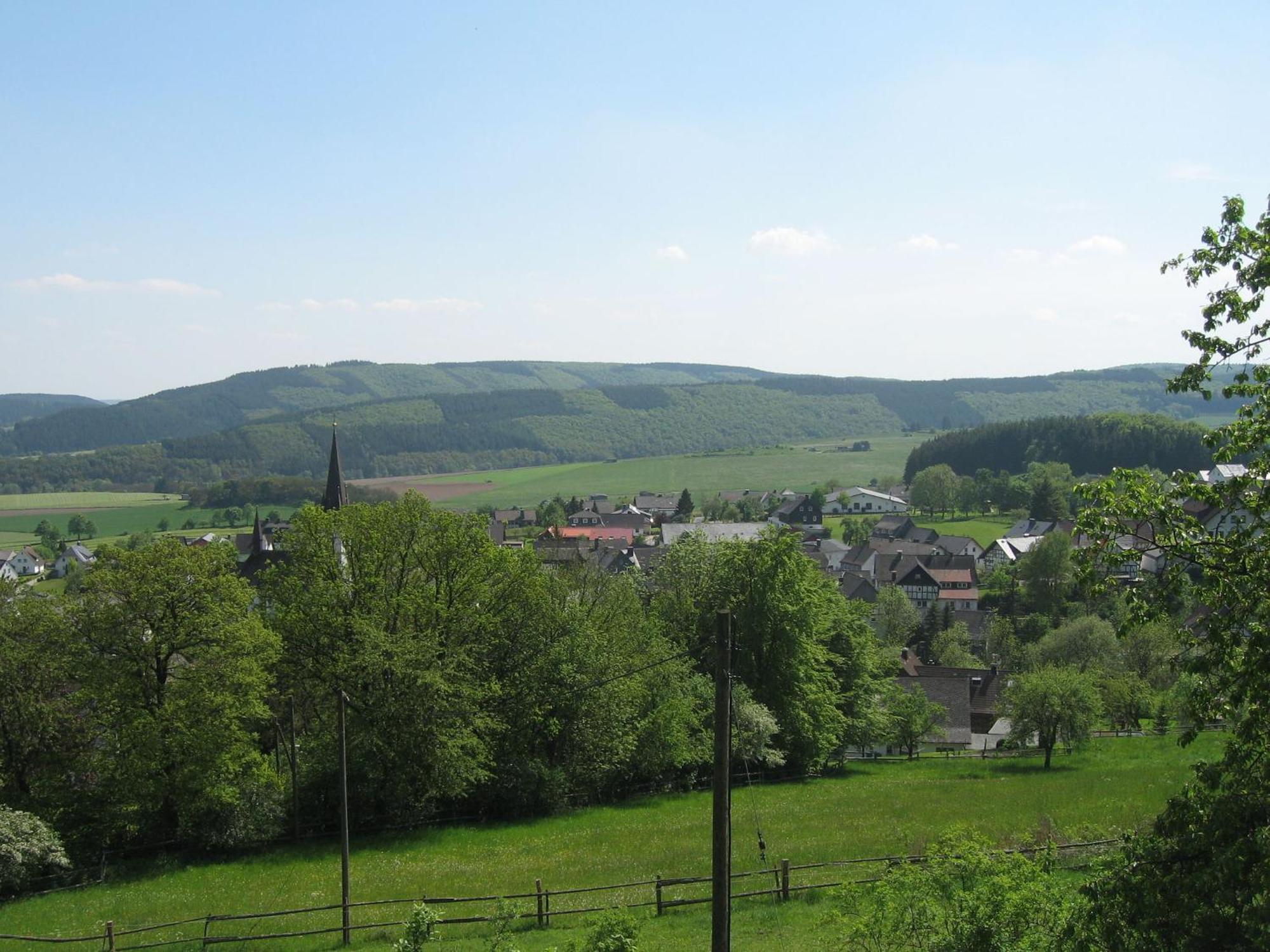 Cozy Holiday home in D dinghausen Sauerland near Ski area Medebach Exterior foto