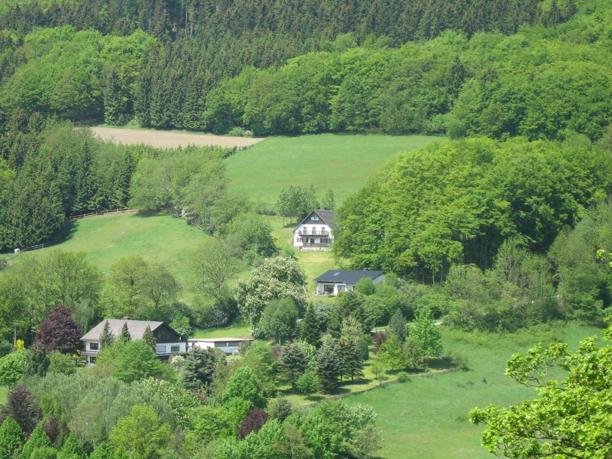 Cozy Holiday home in D dinghausen Sauerland near Ski area Medebach Exterior foto